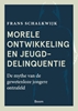 Afbeelding van Morele ontwikkeling en jeugddelinquentie
