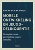 Afbeelding van Morele ontwikkeling en jeugddelinquentie