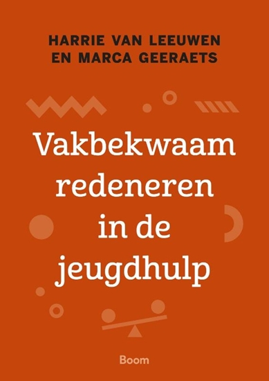 Afbeelding van Vakbekwaam redeneren in de jeugdhulp