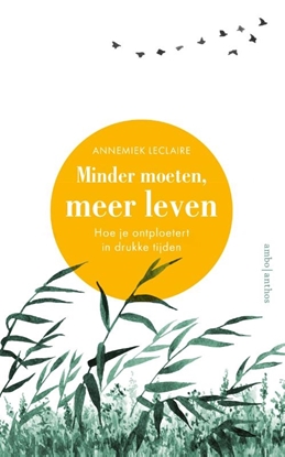 Afbeeldingen van Minder moeten, meer leven