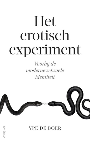 Afbeelding van Het erotisch experiment