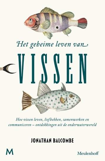Afbeelding van Het geheime leven van vissen