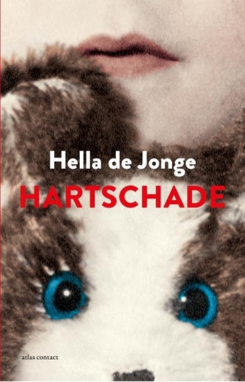 Afbeelding van Hartschade