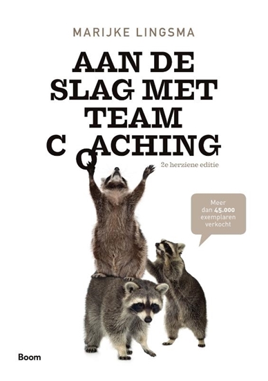 Afbeelding van Aan de slag met teamcoaching