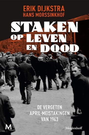 Afbeelding van Staken op leven en dood