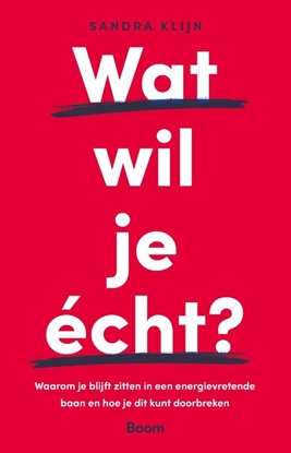 Afbeeldingen van Wat wil je écht?