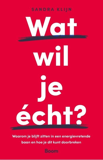Afbeelding van Wat wil je écht?