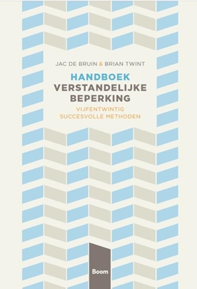 Afbeeldingen van Handboek verstandelijke beperking
