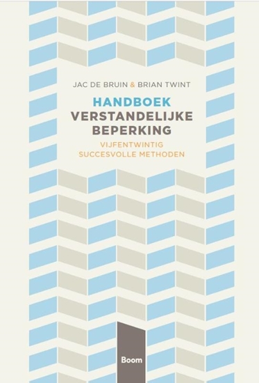Afbeelding van Handboek verstandelijke beperking