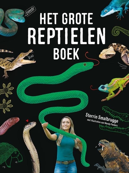 Afbeelding van Het grote reptielenboek