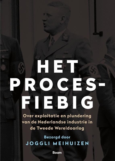 Afbeelding van Het Proces-Fiebig