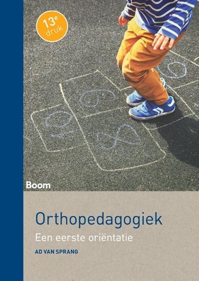 Afbeelding van Orthopedagogiek
