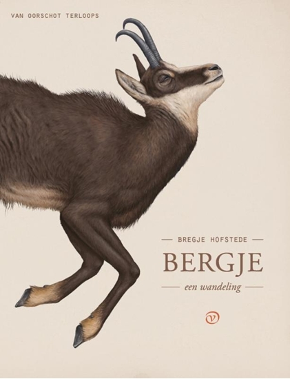 Afbeelding van Terloops Bergje