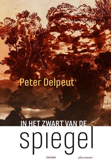 Afbeelding van In het zwart van de spiegel