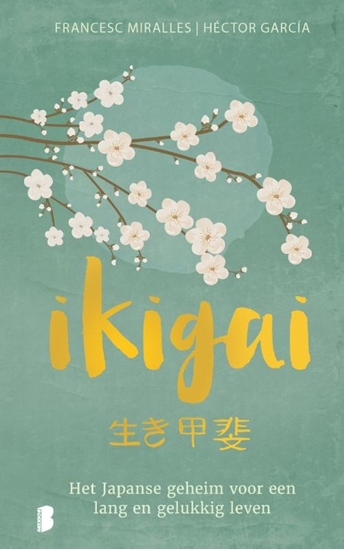 Afbeelding van Ikigai