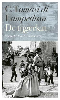 Afbeeldingen van De tijgerkat