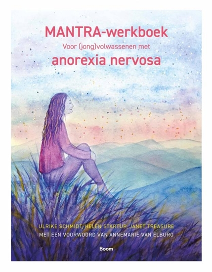 Afbeelding van Mantra-werkboek