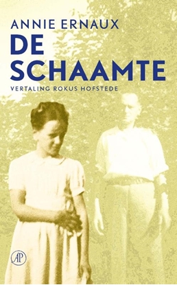 Afbeeldingen van De schaamte