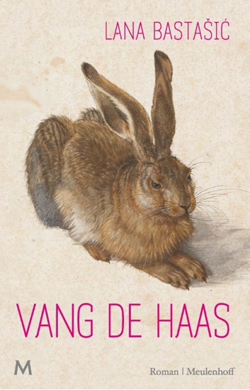 Afbeelding van Vang de haas