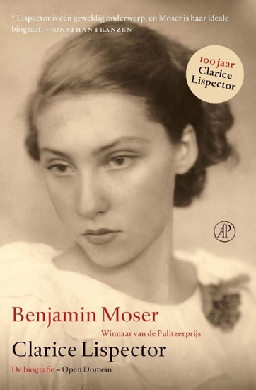 Afbeelding van Open Domijn Clarice Lispector