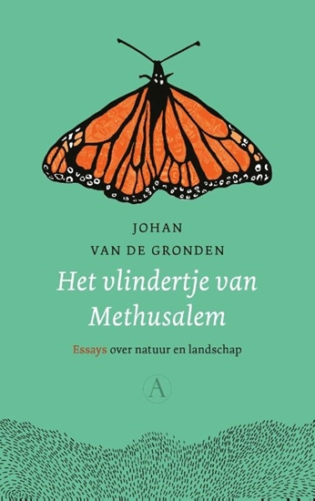 Afbeelding van Het vlindertje van Methusalem
