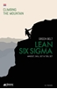 Afbeelding van Climbing the mountain Lean Six Sigma Green Belt