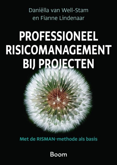 Afbeelding van Professioneel risicomanagement bij projecten