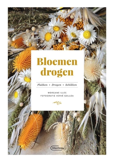 Afbeelding van Bloemen drogen