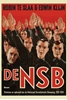 Afbeelding van De NSB 1 Ontstaan en opkomst van de Nationaal Socialistische Beweging, 1931-1935
