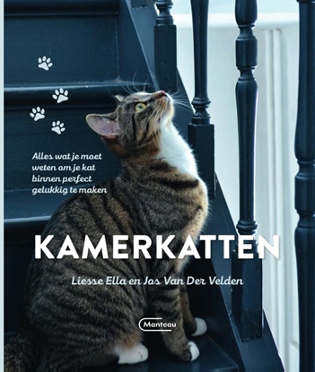 Afbeeldingen van Kamerkatten
