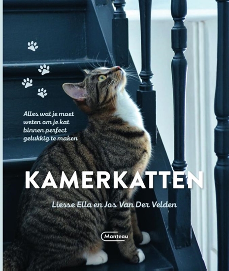 Afbeelding van Kamerkatten