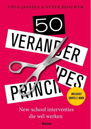 Afbeelding van 50 veranderprincipes