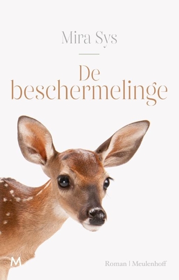Afbeelding van De beschermelinge