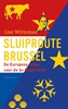 Afbeelding van Sluiproute Brussel