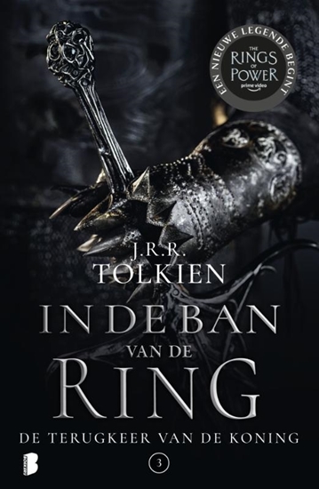 Afbeelding van In de ban van de ring De terugkeer van de koning