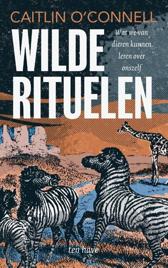 Afbeelding van Wilde rituelen