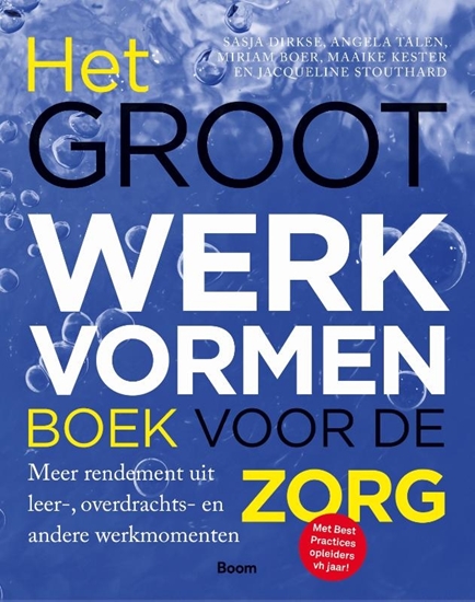 Afbeelding van Het groot werkvormenboek voor de zorg