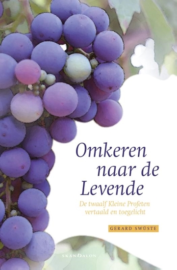 Afbeelding van Omkeren naar de Levende
