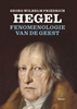 Afbeelding van Fenomenologie van de geest