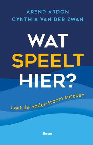 Afbeelding van Wat speelt hier?