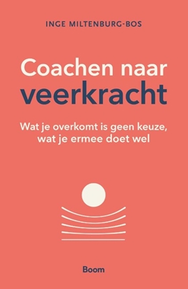 Afbeeldingen van Coachen naar veerkracht