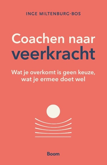 Afbeelding van Coachen naar veerkracht