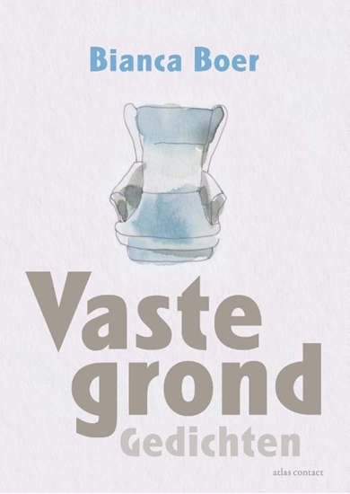 Afbeelding van Vaste grond