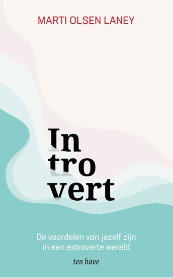 Afbeelding van Introvert