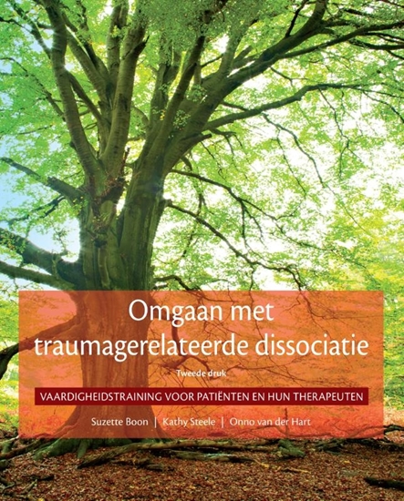 Afbeelding van Omgaan met traumagerelateerde dissociatie