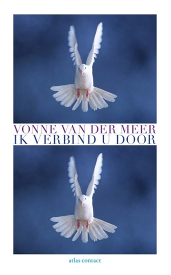 Afbeelding van Ik verbind u door