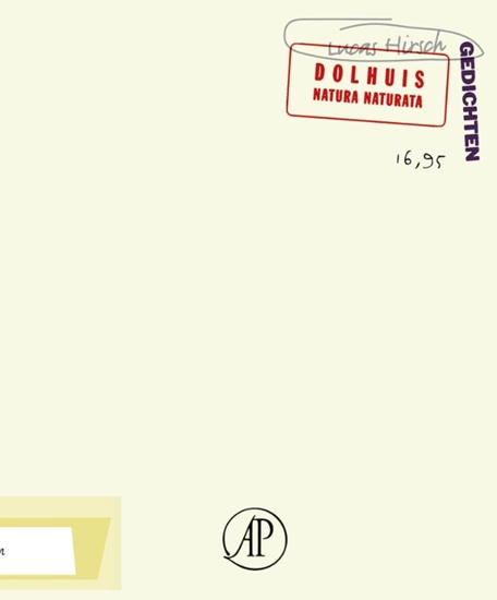 Afbeelding van Dolhuis