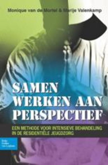 Afbeelding van Samen werken aan perspectief