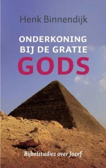 Afbeelding van Onderkoning bij de gratie Gods