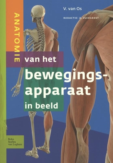 Afbeelding van Anatomie van het bewegingsapparaat in beeld